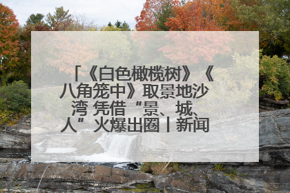 《白色橄榄树》《八角笼中》取景地沙湾 凭借“景、城、人”火爆出圈丨新闻发布最前线