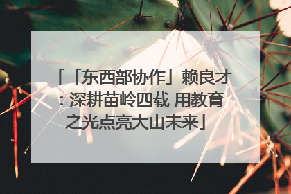 「东西部协作」赖良才：深耕苗岭四载 用教育之光点亮大山未来