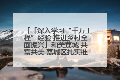 「深入学习“千万工程”经验 推进乡村全面振兴」和美荔城 共富共美 荔城区扎实推进乡村振兴工作