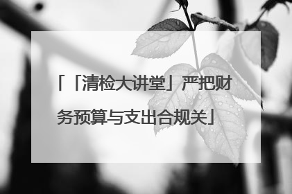 「清检大讲堂」严把财务预算与支出合规关