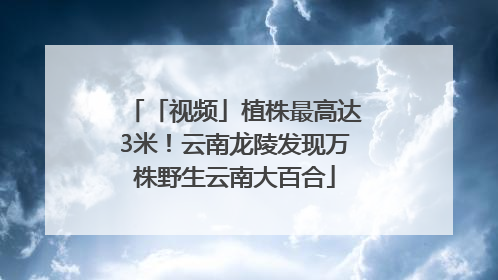 「视频」植株最高达3米！云南龙陵发现万株野生云南大百合