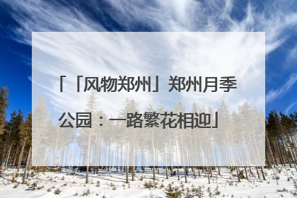 「风物郑州」郑州月季公园：一路繁花相迎