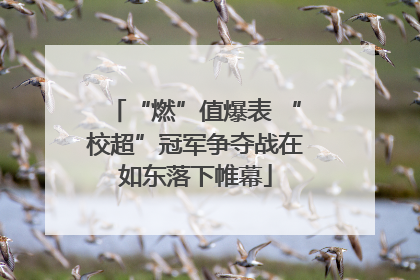 “燃”值爆表 “校超”冠军争夺战在如东落下帷幕