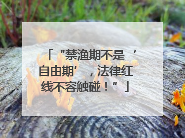 “禁渔期不是‘自由期’，法律红线不容触碰！”