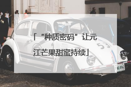 “种质密码”让元江芒果甜蜜持续