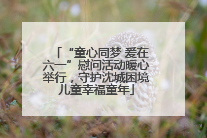 “童心同梦 爱在六一”慰问活动暖心举行，守护沈城困境儿童幸福童年