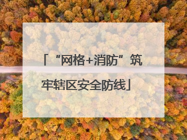 “网格+消防”筑牢辖区安全防线