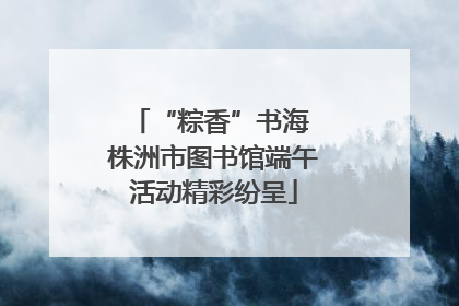“粽香”书海 株洲市图书馆端午活动精彩纷呈