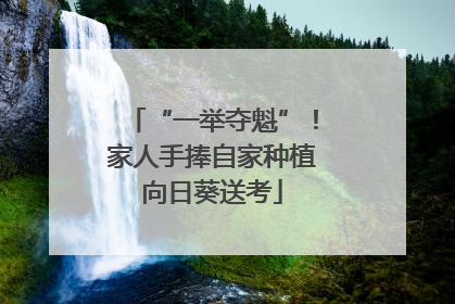 “一举夺魁”！家人手捧自家种植向日葵送考