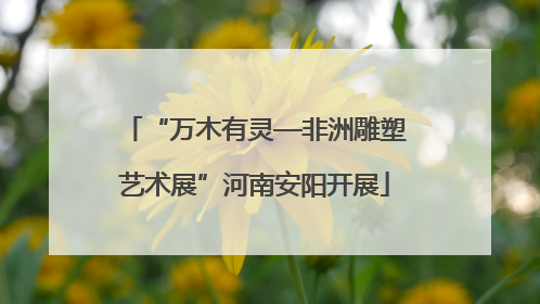 “万木有灵—非洲雕塑艺术展”河南安阳开展
