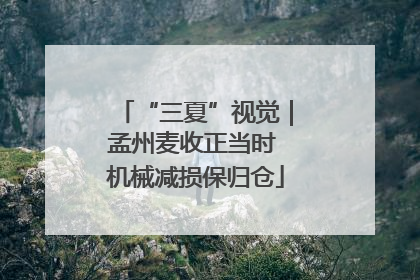 “三夏”视觉｜孟州麦收正当时 机械减损保归仓