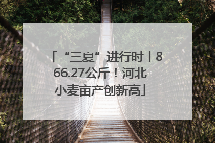 “三夏”进行时丨866.27公斤！河北小麦亩产创新高