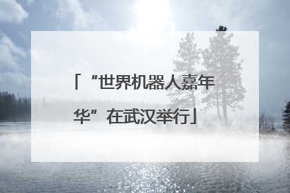 “世界机器人嘉年华”在武汉举行