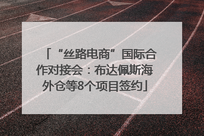 “丝路电商”国际合作对接会：布达佩斯海外仓等8个项目签约