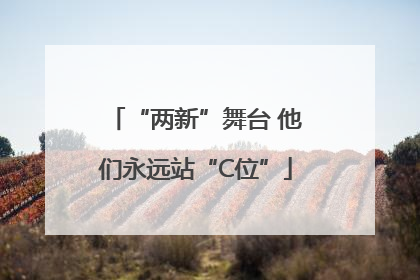 “两新”舞台 他们永远站“C位”