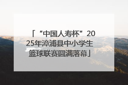 “中国人寿杯”2025年漳浦县中小学生篮球联赛圆满落幕