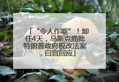 “令人作呕”！卸任4天，马斯克痛批特朗普政府税改法案，白宫回应
