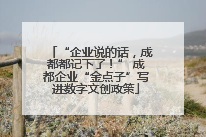 “企业说的话，成都都记下了！” 成都企业“金点子”写进数字文创政策