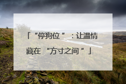 “停狗位 ”：让温情藏在 “方寸之间 ”
