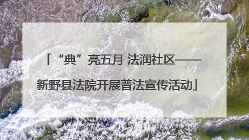 “典”亮五月 法润社区——新野县法院开展普法宣传活动
