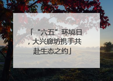 “六五”环境日，大兴廊坊携手共赴生态之约