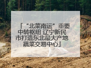 “北菜南运”重要中转枢纽 辽宁新民市打造东北最大产地蔬菜交易中心