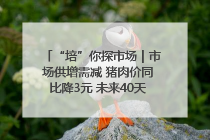“培”你探市场｜市场供增需减 猪肉价同比降3元 未来40天便宜猪肉敞开吃