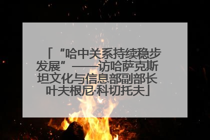 “哈中关系持续稳步发展”——访哈萨克斯坦文化与信息部副部长叶夫根尼·科切托夫