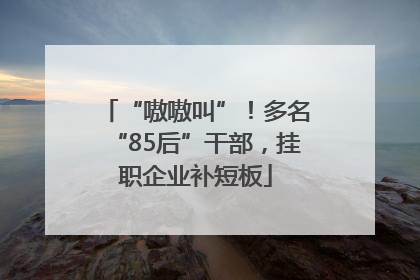 “嗷嗷叫”！多名“85后”干部，挂职企业补短板