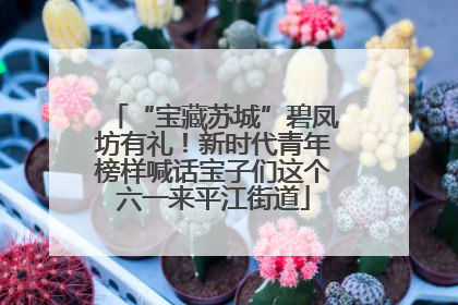 “宝藏苏城”碧凤坊有礼！新时代青年榜样喊话宝子们这个六一来平江街道
