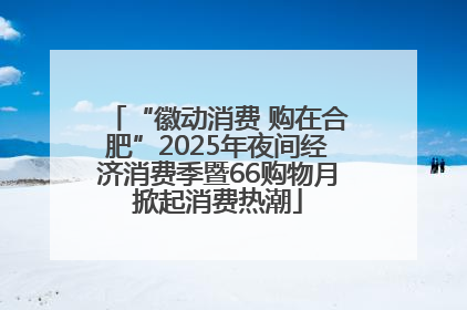 “徽动消费 购在合肥”2025年夜间经济消费季暨66购物月掀起消费热潮