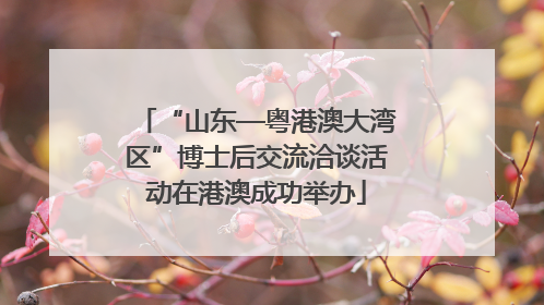 “山东—粤港澳大湾区”博士后交流洽谈活动在港澳成功举办