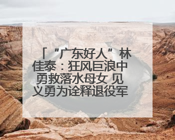 “广东好人”林佳泰：狂风巨浪中勇救落水母女 见义勇为诠释退役军人担当