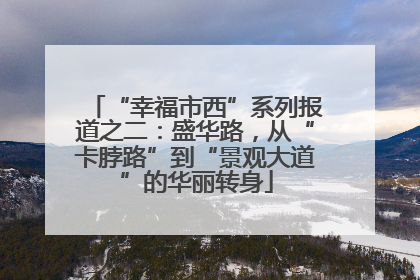 “幸福市西”系列报道之二：盛华路，从“卡脖路”到“景观大道”的华丽转身