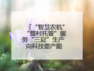 “智慧农机”“整村托管”服务“三夏”生产 向科技要产能筑牢丰产基础