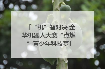 “机”智对决 金华机器人大赛“点燃”青少年科技梦