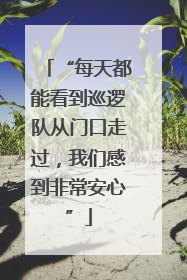 “每天都能看到巡逻队从门口走过，我们感到非常安心”