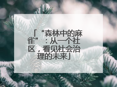 “森林中的麻雀”：从一个社区，看见社会治理的未来