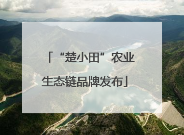 “楚小田”农业生态链品牌发布