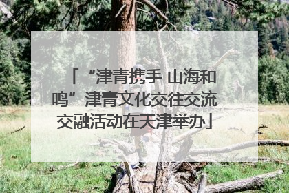 “津青携手 山海和鸣”津青文化交往交流交融活动在天津举办