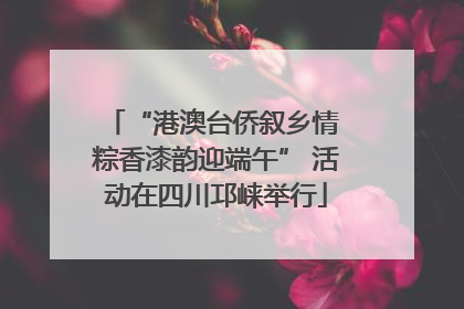 “港澳台侨叙乡情 粽香漆韵迎端午” 活动在四川邛崃举行