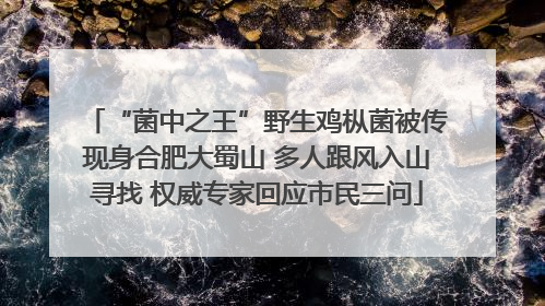 “菌中之王”野生鸡枞菌被传现身合肥大蜀山 多人跟风入山寻找 权威专家回应市民三问