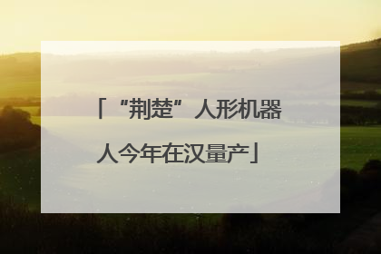 “荆楚”人形机器人今年在汉量产