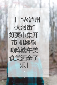 “老泸州·大河街”好耍市集开市 机器狗助阵端午美食美酒亲子乐