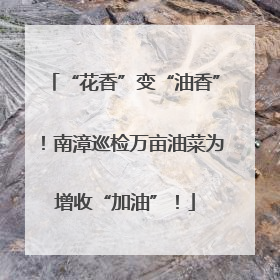 “花香”变“油香”！南漳巡检万亩油菜为增收“加油”！