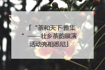 “茶和天下·雅集”——壮乡茶韵展演活动亮相悉尼