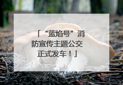 “蓝焰号”消防宣传主题公交正式发车！