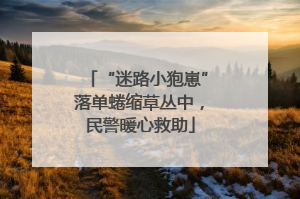 “迷路小狍崽”落单蜷缩草丛中，民警暖心救助