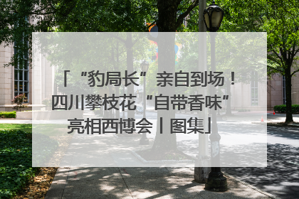 “豹局长”亲自到场！四川攀枝花“自带香味”亮相西博会丨图集