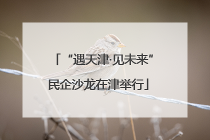 “遇天津·见未来”民企沙龙在津举行